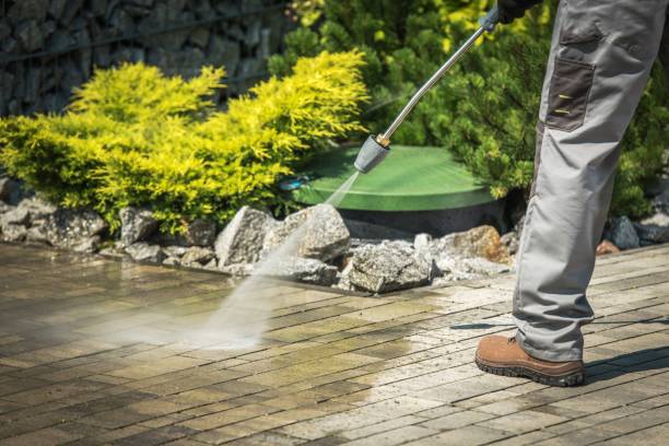 Boat and Dock Cleaning in Spring Valley Lake, CA